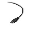 Belkin Premium Printer Cables Cable10 Ft4 Pin USB Type B