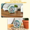 Beach Starfish and Shells Silent Analog Alarm Clock, 4.3 Inches