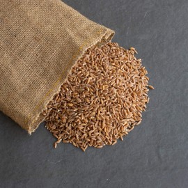 Organic Pearled Emmer Wheat - AKA: True Farro - 1 Lb - Non-GMO - Bulk Grains for Grinding Into Flour, Cooking & More