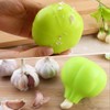 Garlic Press, Stainless Steel Garlic Press, Home Garlic Press, Stainless