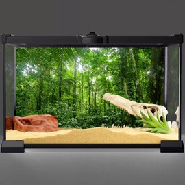 AWERT 24x16 inches Terrarium Background Tropical Aquarium Background Green Huge Tree Rainforest Reptile Habitat Background