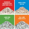 The Andersons Premium Weed and Feed 24-0-16 for Thick and