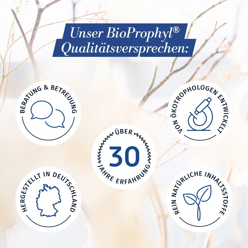 BioProphyl® Vitamin B Complex with 8 B Vitamins from Quinoa