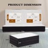NEWBULIG 4" Tri-fold Memory Foam Mattress, Foldable Portable Floor Bed,Washable