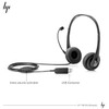 HP Stereo Headset (USB Connector)