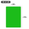 Memo Sheet, Underlayment, B5, Red and Green, 1 Each, Memory