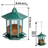 Birdream 4 Pack Bird Feeders for Outdoor Hanging, 10 LB