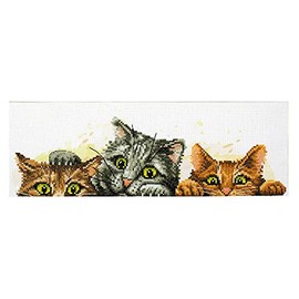 Pracht Creatives Hobby S250-003 Ladybird Curious Kittens Cross Stitch Kit Approx. 31 x 9 cm Complete Set for Square Embroidery Painting Craft Hobby for Adults and Children Aged 8 and Above Colourful