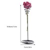 10Pcs Tabletop Planter Fashionable Air Plant Stand Holder Container Display