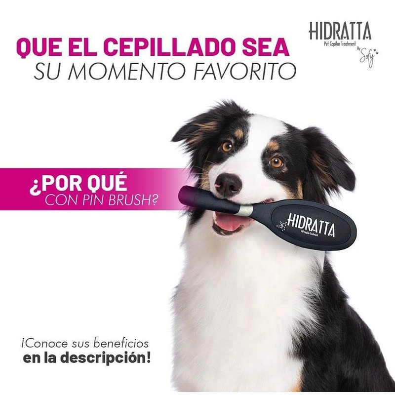 Hidratta Premium Pet Pin Brush “Butter” – Comfortable Pin Brush