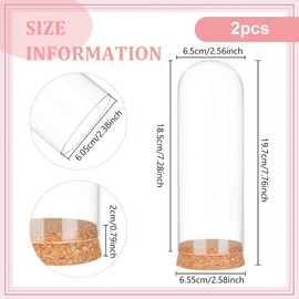 BENECREAT 2 Pack Glass Display Dome Cloche, 7.6x2.5inch Glass Bell Jar Display Dome Glass Decorative Jars with Cork Base for Flower Plants, Crafts Decorations, ID: 2.36inch