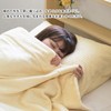 Bloom Imabari Towel Certified Pillow Cover Karoyaka Caloket Towel Fabric