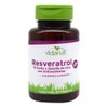 Vidanat Resveratrol - 30 Cápsulas – Antioxidante Natural de Origen