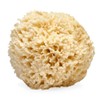 LATHER Natural Sea Wool Sponge