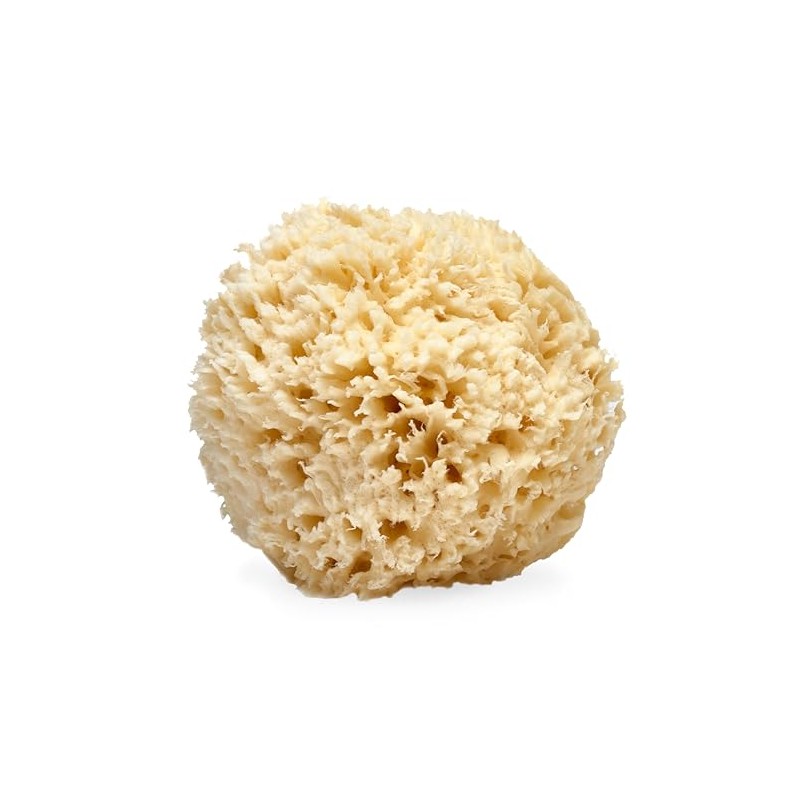 LATHER Natural Sea Wool Sponge