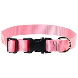 LupinePet Basics 1" Pink 12-20" Adjustable Collar for Medium and Larger Dogs