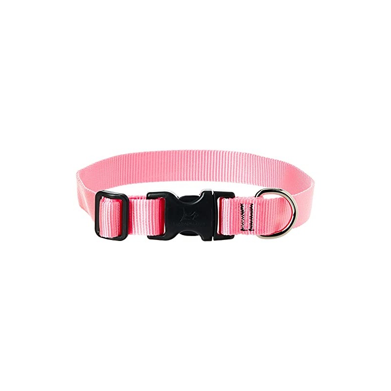 LupinePet Basics 1" Pink 12-20" Adjustable Collar for Medium and