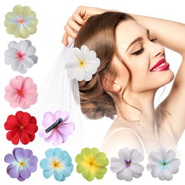 10 Pieces 3.15 Inch Multicolor Women Chiffon Flowers Hair Clips Double Chiffon Orchid Flower Bohemian Flowers Hair Clip Alligator Clips Hair Barrettes Accessories for Beach Party Bridal Wedding