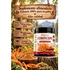 Hongo Cordyceps - Extracto Puro en Polvo 100 g -
