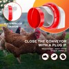 ZenxyHoC Chicken Feeders and Waterers, 8 Ports Chicken Feeder No