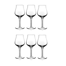 North Mountain Supply Crestmont Beer Glasses - for Strong/Dark Ales and Belgian IPAs Drinking - 16 Ounces - Set of 6