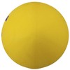 MIKASA Smile Rugby Ball (For Elementary School Students) Special Formulated