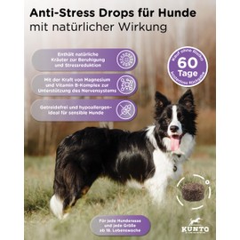 KUNTO Anti-Stress Drops Pack of 1