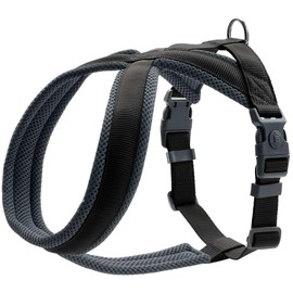 HUNTER LONDON Comfort Harness, XS-S