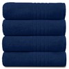 Gaveno Cavailia 100% Natural Cotton Thick Absorbent 450 GSM Hampton