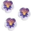 Tissue Paper Flowers Pansies Purple S FSC Mix Diameter 13