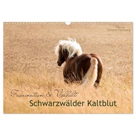 Faszination und Vielfalt - Schwarzwälder Kaltblut (Wandkalender 2026 DIN A3 quer), CALVENDO Monatskalender: Kraftvoll, elegant, manchmal verspielt und ... Pferd durch das Jahr (CALVENDO Tiere)