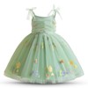 TTYAOVO Toddler Baby Dress Embroidery Tulle Dresses Size 3Y(3 Years,
