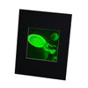 Next Generation Enterprise Hologram Picture, Collectible Hologram Picture (Matted Only)
