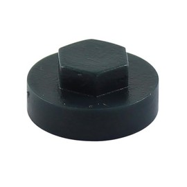 HEX TEK Roofing Screw CLADDING CAPS - 16mm or 19mm Coverage / 8mm Recess (PK 100) (Anthracite, 19mm)
