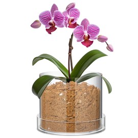Sunnychicc Clear Plant Nursery Pots Acrylic Orchid Pots with Drainage Holes and Tray Transparent Planter for Indoor Plants, Succulents, Herb, Flowers and Cactus Decorative(8 Inches,Circle)