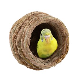 HEEPDD Bird Nest, Handwoven Straw Bird Nest Hatching Breeding Cave House for Myna Thrush Bird Budgie Peony Parrot Finch(Mouth Diameter 8cm/3in)