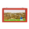 AntHouse - Ant Farm with Ants Starter Set | 3D