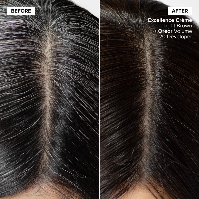 L'Oréal Technique Excellence Crème Permanent Hair Color - Long-Lasting Hair