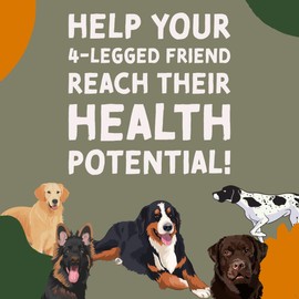 DogBone DogBone Fish Oil for Dogs 32 oz | Salmon Oil | Dog Fish Oil | Omega 3 | Dog Joint Supplement | Pet Vitamins and Supplements | Wild Alaskan Salmon Oil for Skin and Coat