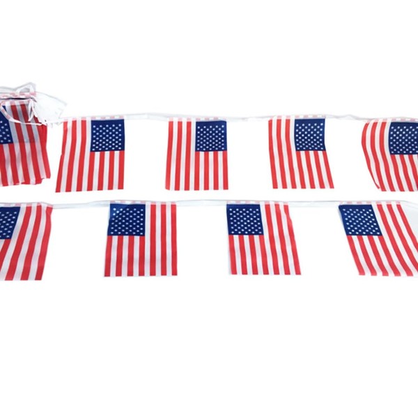 Hrlace 4 x 21 cm Mini Flags Banner USA Bunting
