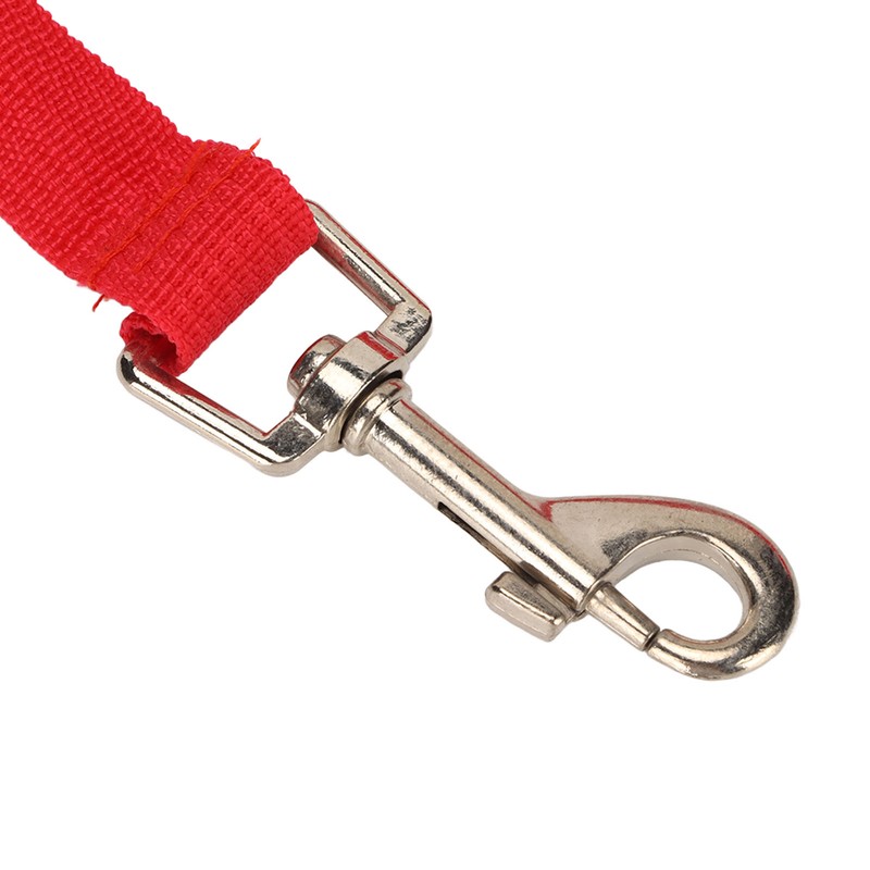 Retractable Dog Leash 360 Degree Built in Water Bottle Puppy