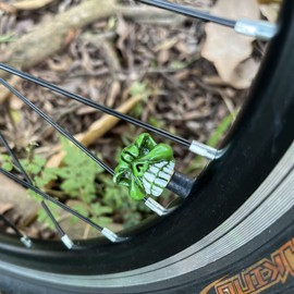 Temzzer Valve Stem Caps Skull 4pcs Car Tire Valve Caps for Most Vehicles Bikes Motorcycles, Green