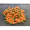 AIICraft 20 Vegetable Loose CarrotHandcrafted Decorative Home Garden