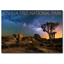Joshua Tree National Park Night Sky Travel Refrigerator Magnet Size 2.5" x 3.5"