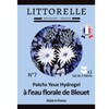 Littorelle Hydrogel Eye Pads with Cornflower Blossom Water - Moisturises,