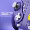NYXI Wizard Gamecube Switch Controller for Switch/Switch OLED, Wireless Gamecube