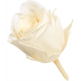 Earth Farms Brand of Preserved Flower Bouquets Wedding Vivian