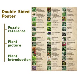 Vintage Houseplant Puzzle 1000 Pieces for Adult, Botany Succulent House Plant Puzzle, 39 Common Indoor Plants Jigsaw Puzzles