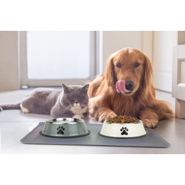 Podinor Stainless Steel Dog Bowls, Food and Water Non Slip Anti Skid Stackable Pet Puppy Dishes for Small, Medium and Large Dogs (2 Pack)