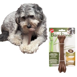SPOT Bam-Bones Bone - Made with Strong Bamboo Fiber, Durable Long Lasting Dog Chew for Light to Moderate Chewers, Great Toy for Adult Dogs & Teething Puppies under 40lbs, 7.25in, Bacon Flavor
